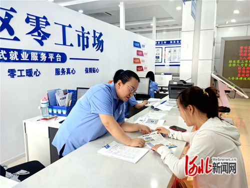 张家口 织密信息服务网，搭建高效供需桥