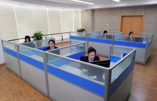 苍南县96345社会救助服务热线今日开通，365天24小时全天候守护民生
